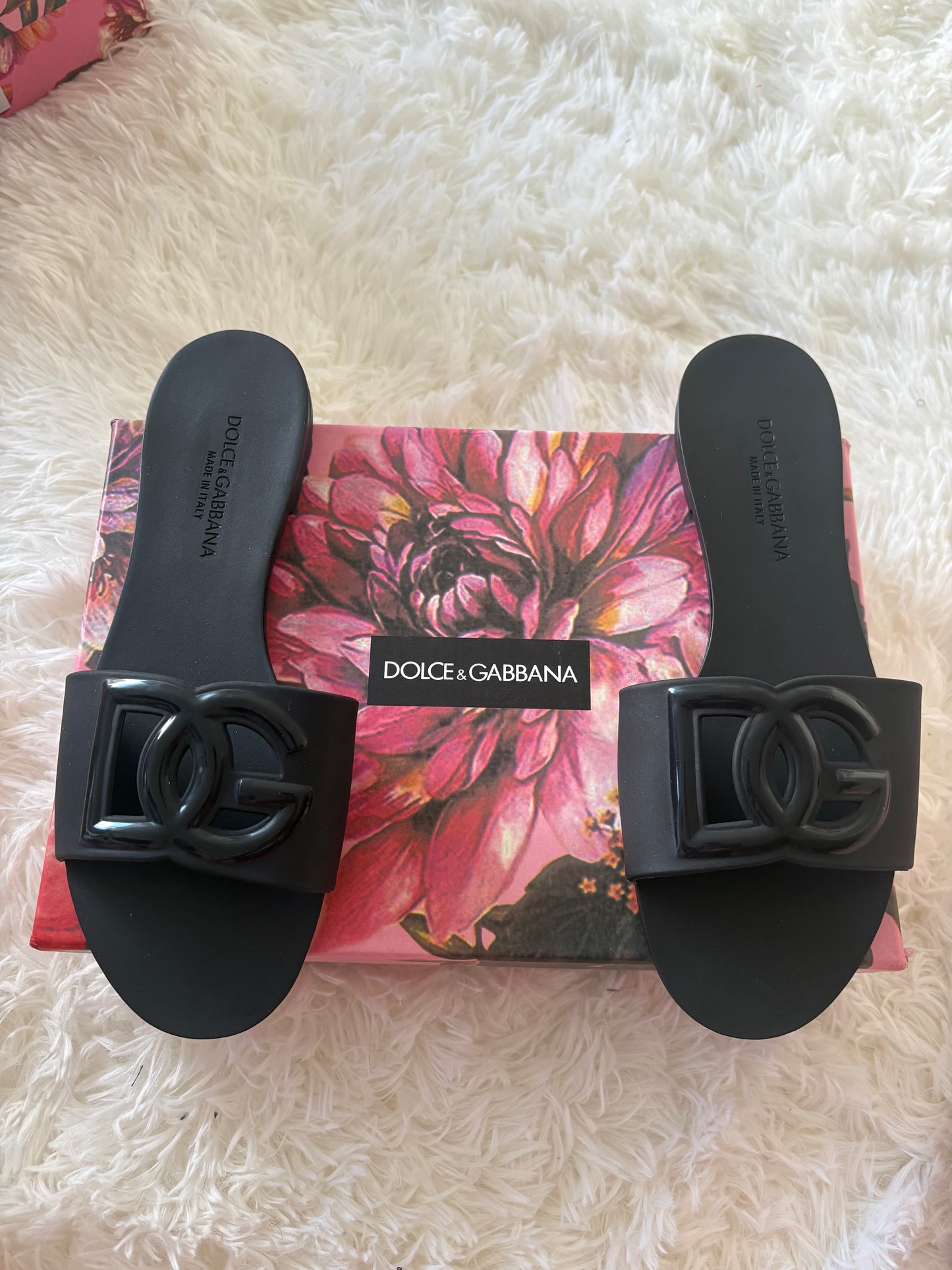 DG Slides