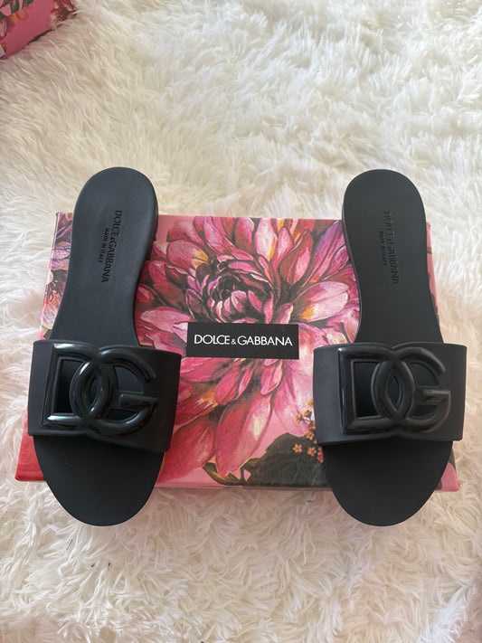 DG Slides