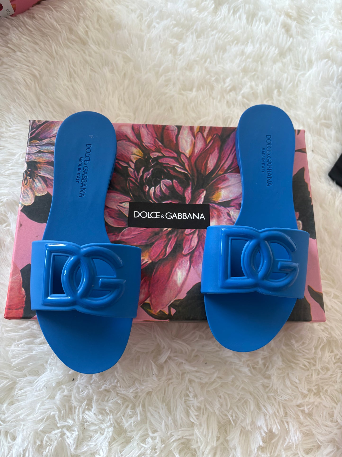 DG Slides