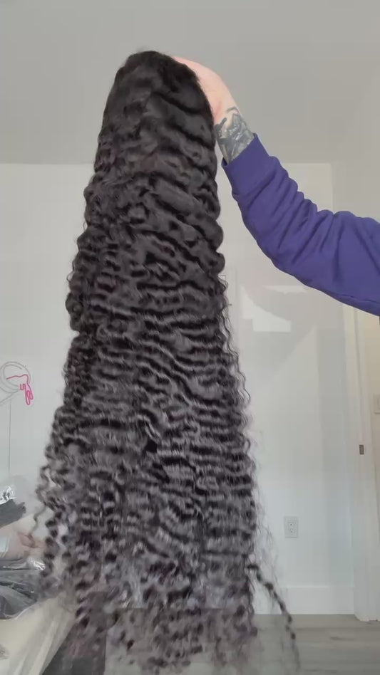 Transparent Burmese Curly